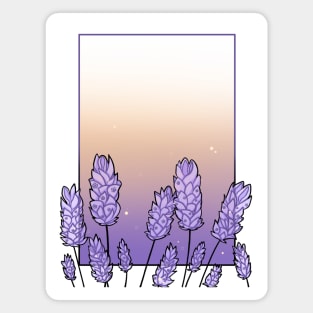 Lavenders in the Sunset Magnet